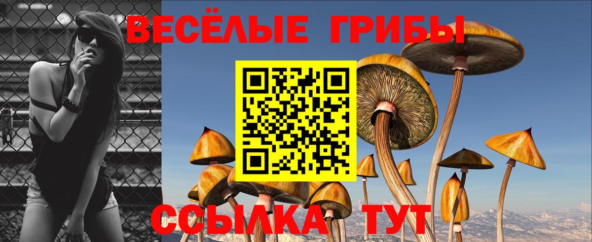 Галлюциногенные грибы ЛСД  Псилоцибиновые грибы Psilocybe  Чистополь  Вход с VPN 