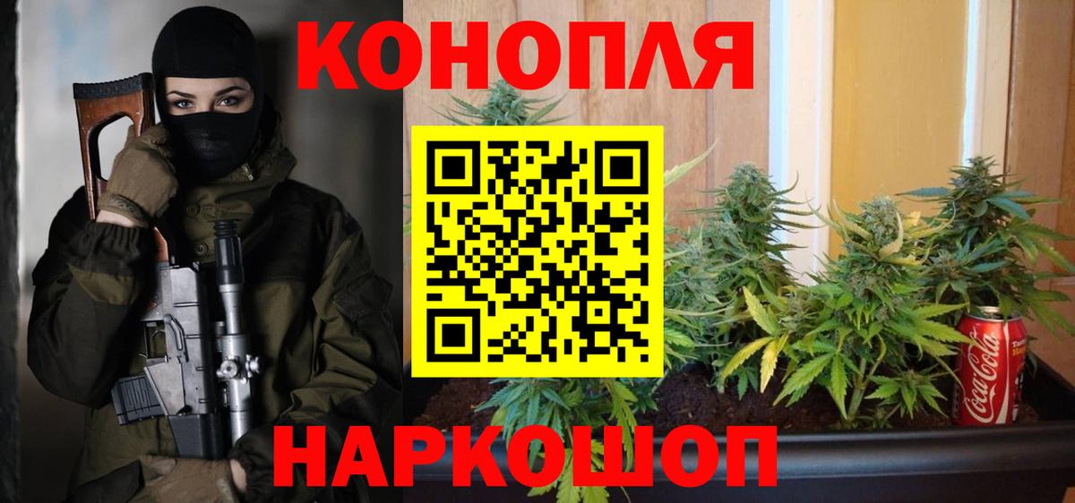 Каннабис индика Чистополь